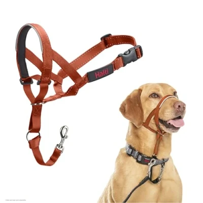 Afbeelding van Company of Animals HALTI Halster, om te voorkomen dat uw hond aan de riem trekt. Verstelbaar, reflecterend en licht, met gevoerde neusband, Burnt Orange, 3
