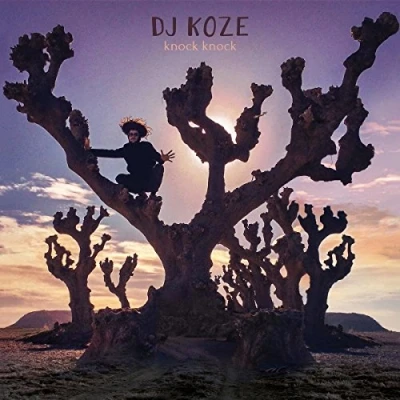Afbeelding van DJ Koze Knock (CD)