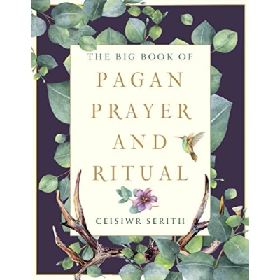 Afbeelding van The Big Book of Pagan Prayer and Ritual