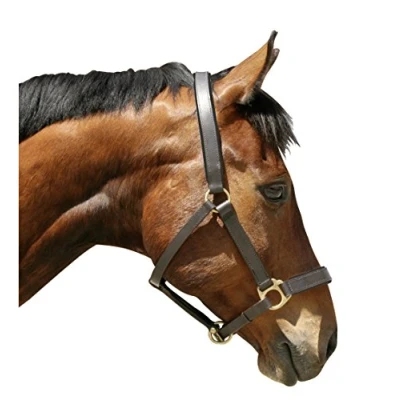 Afbeelding van Covalliero Lederen Halster Bruin Full size