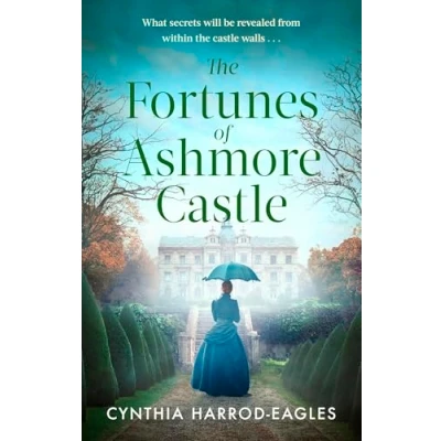 Afbeelding van The Fortunes of Ashmore Castle