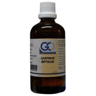 Afbeelding van Go Carpinus Betulus, 100 ml