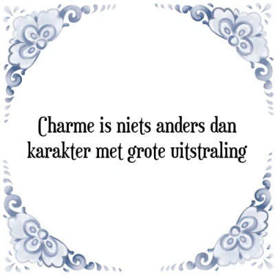 Afbeelding van Charme is niets anders dan karakter met grote uit Tegeltje + Spreuk