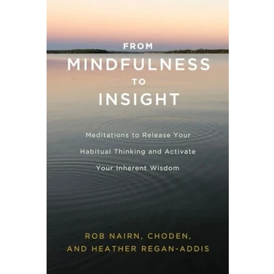 Afbeelding van From Mindfulness to Insight
