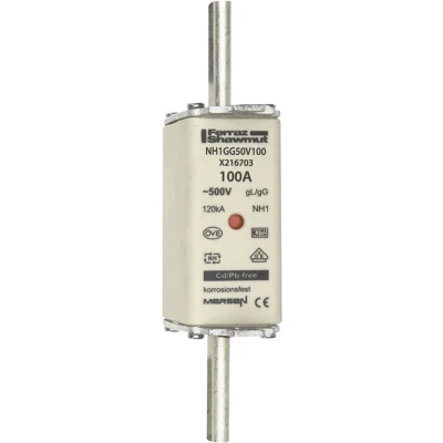 Afbeelding van Mersen 1B163.000000 NH zekering Afmeting : 1 100 A 500 V stuk(s)