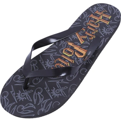 Afbeelding van Harry Potter Zwarte Teenslippers voor Heren
