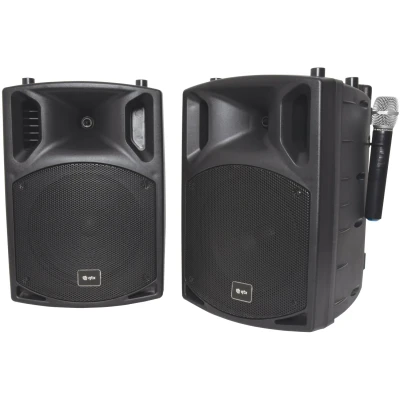 Afbeelding van QTX PAV10 Bluetooth speaker met dvd/cd en 2 draadloze microfoons