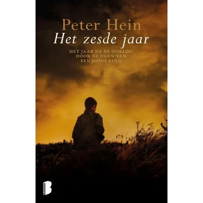 Afbeelding van Het zesde jaar (Paperback)