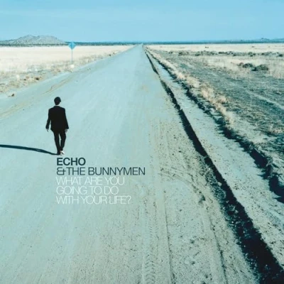 Afbeelding van Echo &amp; The Bunnymen What Are You Going to Do With Your Life? (Crystal Clear LP)