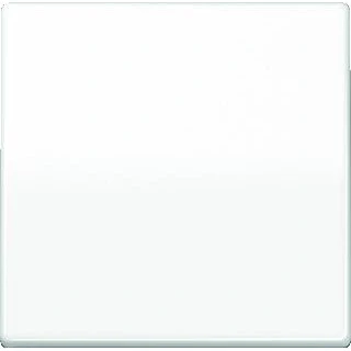 Afbeelding van JUNG LB MANAGEMENT AS1700WW