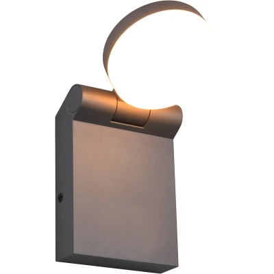 Afbeelding van Trio Lighting Buitenwandlamp Adour, antraciet, kantelbaar, CCT, IP44