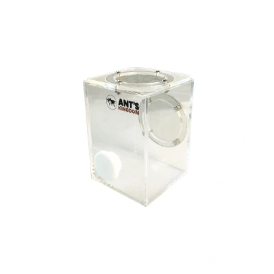Afbeelding van Medium insecten verblijf, 7x7x10