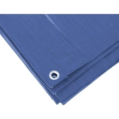 Afbeelding van Hoge kwaliteit afdekzeil / dekzeil blauw 5 x 6 meter Afdekzeilen