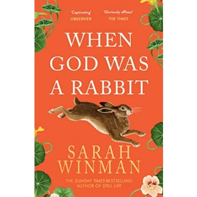 Afbeelding van When God was a rabbit: Sarah Winman