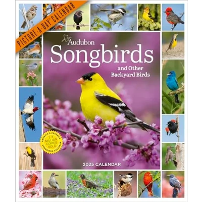 Afbeelding van Audubon Songbirds and Other Backyard Birds Picture A Day® Wall Calendar 2025