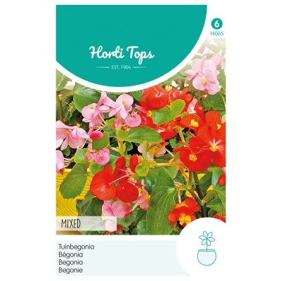 Afbeelding van Begonia, Tuinbegonia gemengd