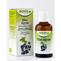 Afbeelding van Biover Ribes Nigrum Bio, 50 ml