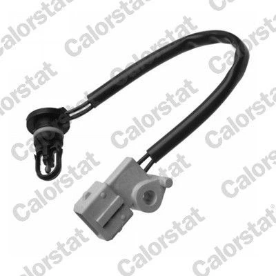 Afbeelding van Sensor, temperatuur binnenkomende lucht CALORSTAT by Vernet AS0042
