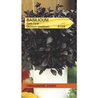 Afbeelding van Basilicum Dark Opal