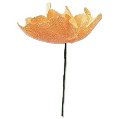 Afbeelding van Sizzix Thinlits Matrizenset 5PK California Poppy van Lisa Jones, 664921, Multicolor, One Size