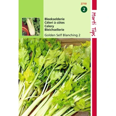 Afbeelding van Hortitops 2 stuks Bleekselderie Goudgele Zelfblekende