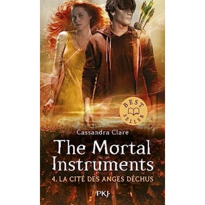 Afbeelding van The Mortal instruments tome 04 : La Cité des Anges Déchus