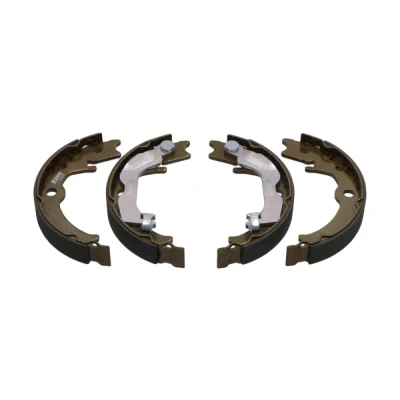 Afbeelding van Kavo Parts Remschoen set KBS 1405