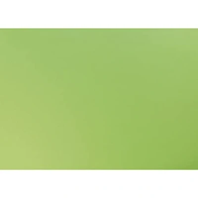 Afbeelding van Clairefontaine Ref 455319C gerecycled gekleurd papier (Pack van 25 vellen) 50 x 65cm groot, 120gsm papier, zuurvrij, diep geverfd kleur appelgroen