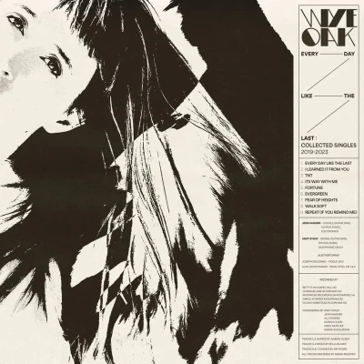 Afbeelding van Wye Oak Every Day Like The Last (Singles 2019 2023) (LP) (Coloured Vinyl)