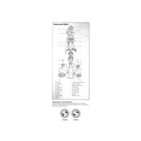 Afbeelding van 40st pawl gear 2 kit 17t