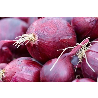 Afbeelding van Ui &#039;Red Baron&#039; De Bolster (BIO)