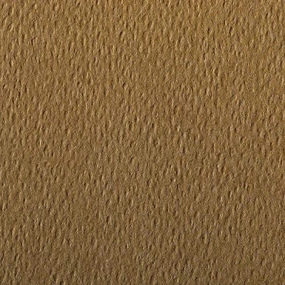 Afbeelding van Clairefontaine Ref 93877C Etival Gekleurd Graineerd Tekening Papier (Verpakking van 25 Vellen) A4 (29,7 x 21cm) 160gsm Cellulose Art Tabak Zuurvrij, pH Neutraal