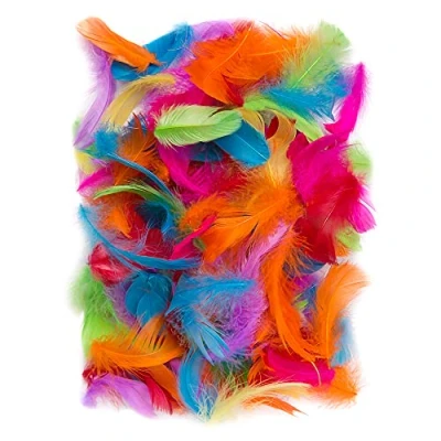 Afbeelding van Netuno 150 stuks kleurrijke decoratieve vogel veren 10g natuur voor DIY Crafting pasen kerstmis figuur maskers bruiloftsfeesten