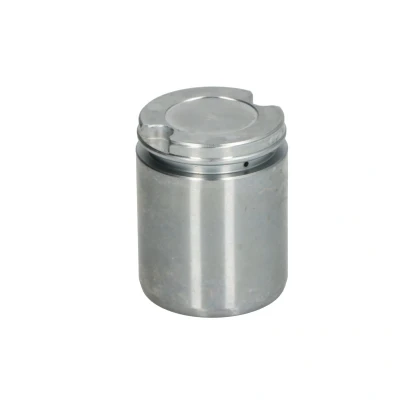 Afbeelding van Zuiger, remklauw AUTOFREN SEINSA D025417