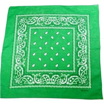 Afbeelding van Zac&#039;s Alter Ego Bandana Paisley jade Groen/Wit