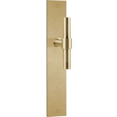 Afbeelding van Formani Deurkruk Piet Boon ONE PBT15P236SFC op schild PVD mat goud