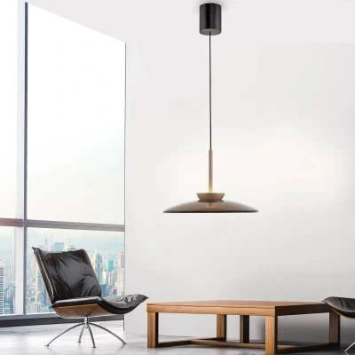 Afbeelding van Paul Neuhaus 1 lichts hanglamp Pure E Moon brons 2195 97