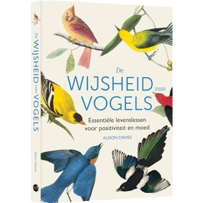 Afbeelding van De wijsheid van vogels (Hardback)