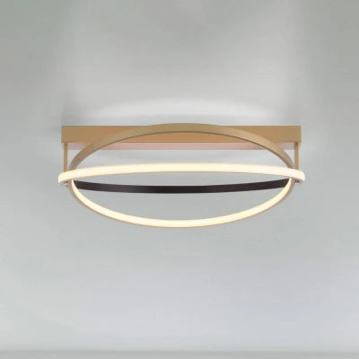 Afbeelding van Paul Neuhaus Plafondlamp Q Beluga messing 6739 60