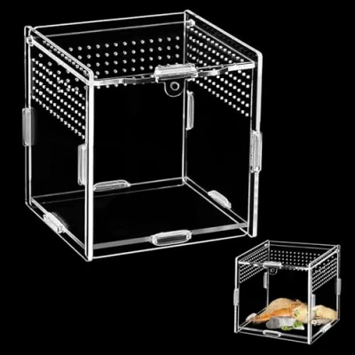 Afbeelding van Acryl terrarium, 10 x cm cm, mini springspin, slakken, reptielen, voederbox, geschikt voor spin, hagedissen, kever,
