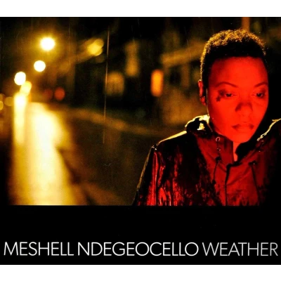 Afbeelding van Meshell Ndegeocello Weather (CD)