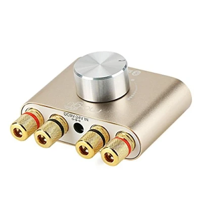Afbeelding van DollaTek TPA3110 30W * 2 Tweekanaals Mini Stereo Audio Draadloze Bluetooth versterker Digitaal signaal Power AMP voor tablet pc Smartphone laptops ect Goud