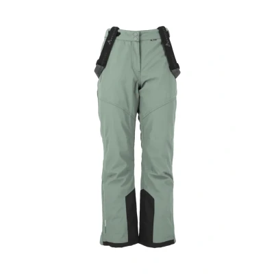 Afbeelding van WHISTLER Skihose Drizzle