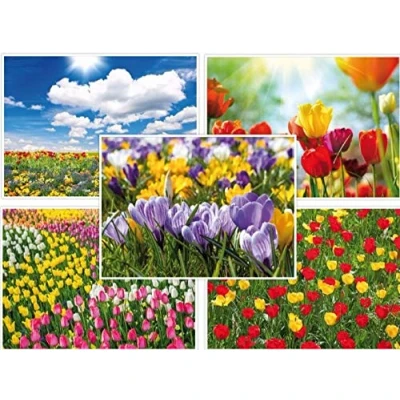 Afbeelding van Edition Colibri Lente Kaarten Ansichtkaartenset (10 stuks) 5 verschillende motieven van tulpen, paasklokken en krokussen