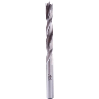 Afbeelding van Fisch Tools HSS houtspiraalboor d. 8 mm totale lengte 110 1 stuk 013C080110