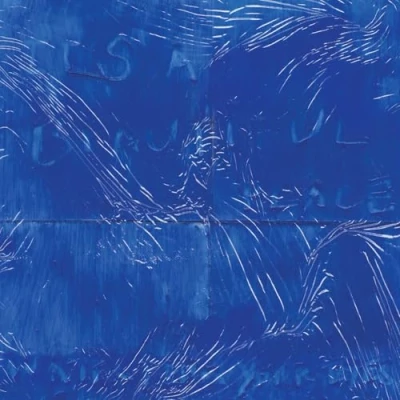 Afbeelding van Water From Your Eyes It&#039;s a Beautiful Place (LP)
