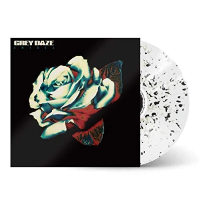 Afbeelding van Grey Daze Amends (2 LPs)
