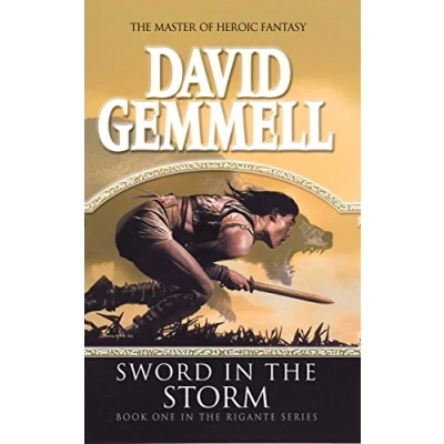 Afbeelding van Sword In The Storm