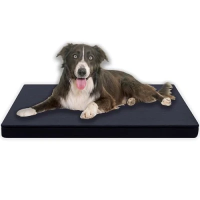 Afbeelding van MyBestBuddy Hondenkussen, orthopedisch, met 3 cm volledig schuimkern, grijs, 80 x 60 L, hondenmat stoffen overtrek, wasbaar op 40 C, allergievriendelijk, hondenbed voor middelgrote honden,