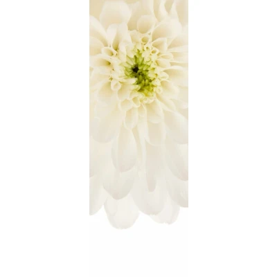 Afbeelding van Komar Vliesbehang Beautiful (1 stuk)